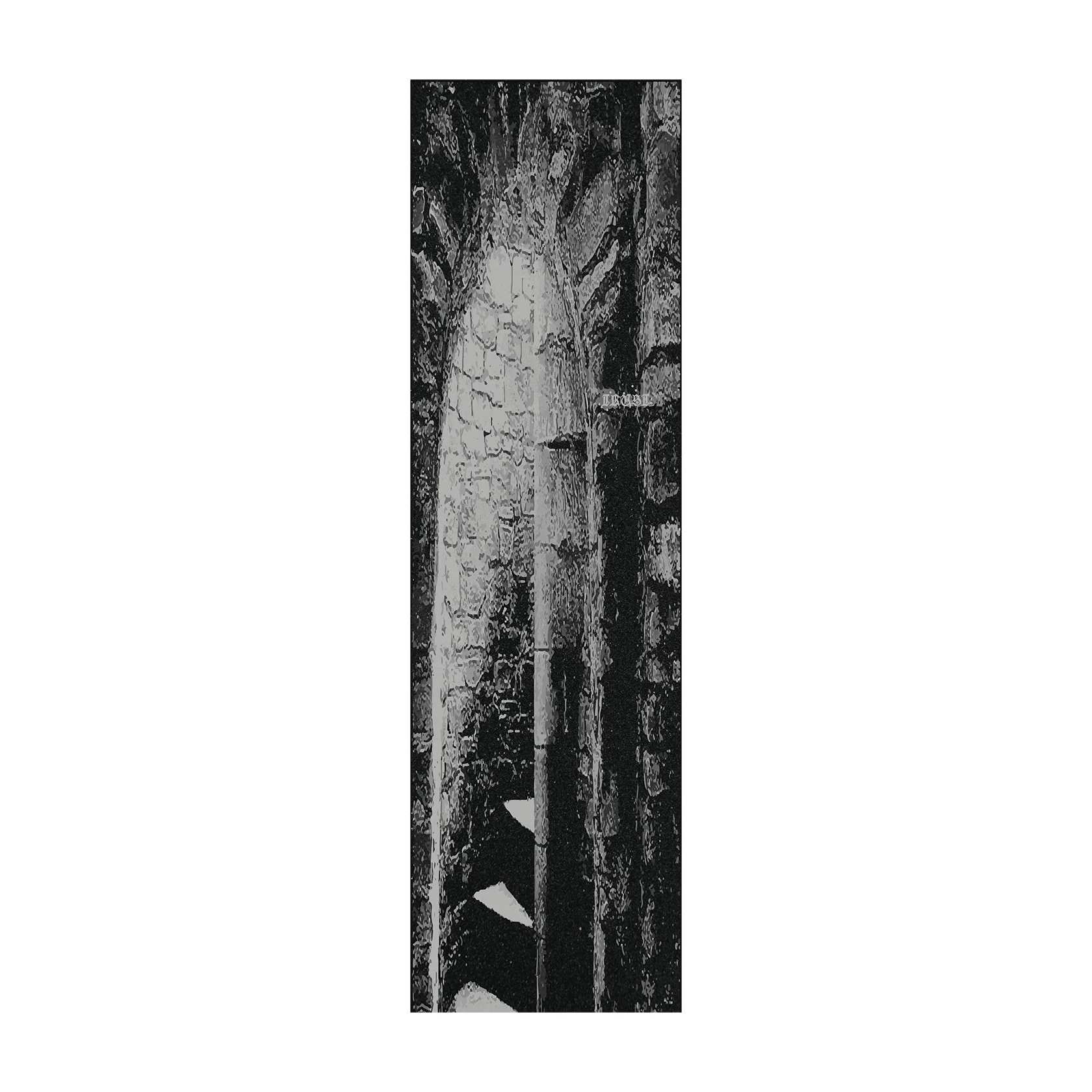 Trust Fortress Griptape SCoaliton