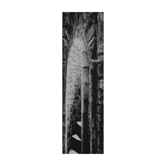 Trust Fortress Griptape SCoaliton